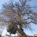 만경읍사무소 이미지