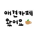 레인바우애견카페 이미지