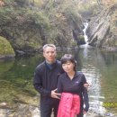 구룡소 Daum카페