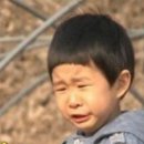 아오 이미지