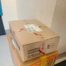 위드제시 영어 이미지