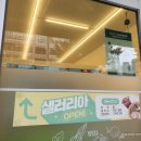 샐러리아숭의