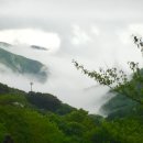 청학통신 네이버블로그
