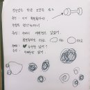 통통방 이미지
