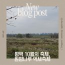 원평집 | 2025 원평나루 억새축제 다녀온 후기