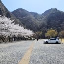 달이 머무는 집 이미지