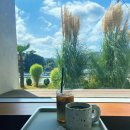 픽쳐레스크 이미지