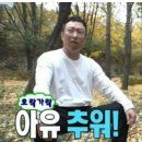 원조닭한마리 이미지