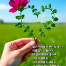 추억의 명곡 모음 ④ 물 위의 암스테르담. 가방을 든 여인. 위대한 사랑. etc 10곡 이미지