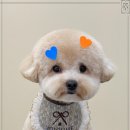윈썸 이미지