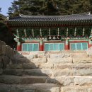 거동사 - 1749 | 거동사