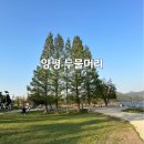 [경기도/양평] 양평 가볼만한 곳 두물머리와 연핫도그 방문 후기