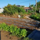 개곡1리 마을회관 이미지