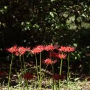 중앙공원(상) 이미지