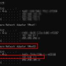 1234피시 이미지