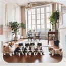 의령병원 | 의령 폼스키분양 텅 빈 거실에서 시작된 내일의 다짐