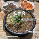 수지구청 국밥 맛집 일번옥 내돈내산 양평해장국 후기