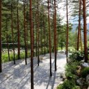 물내치기 이미지