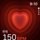 엔씨파크 이미지