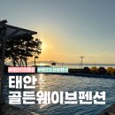 골든웨이브키즈&가족수영장오션뷰 | 태안 키즈 펜션 갯벌 바로 앞 오션뷰 골든웨이브 펜션