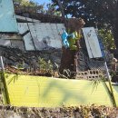 안동동부초등학교 | 안동 볼거리 신세동 벽화마을 조용한 골목투어 방문 후기