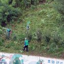 탑대성동 행정복지센터 이미지