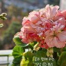 (주)솔메이트 이미지