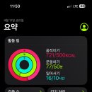 아이스세상 이미지