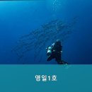 영일1호 이미지