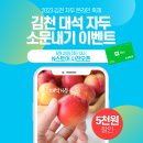 팜 스프링캠프 이미지