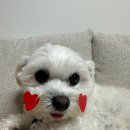 일상 기록[7/13~7/24]