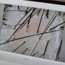 에이징랩 | [산본] 산본헤드스파 산본두피관리 가엘 헤어랩 두피 안티에이징으로 힐링하고 온 후기