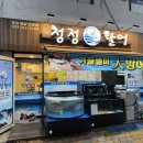 청정 | 일산 대방어 맛집 추천 가성비 회포장 청정활어 재방문후기