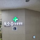 옥수수 동물병원 이미지