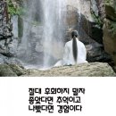 닥터한스 네이버블로그