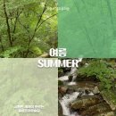 제천 치유의 숲 이미지