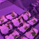 하늘이네 상차림 | 부산 기장 롯데월드근처 한우 맛집 고와정 후기 - 분위기 좋은 고기집.