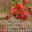 Reflection Of My Life / Marmalade(내 인생에 대한 반성) 이미지
