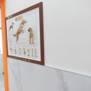 라이언펫 수원광교동물병원 이미지