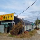 안골오리마을 | 시흥 맛집 안골농장 오리주물럭 후기 및 주차정보