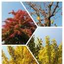 과천 국립현대미술관 나들이~ 이미지