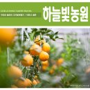 제주하늘빛농원