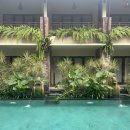 리틀아레나 | 발리 2주 살기: 유치원 때문에 선택한 사누르 숙소 아레나리빙