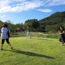 명진계란 이미지