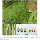 국립낙동강생물자원관 이미지