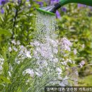 위생탕 네이버블로그