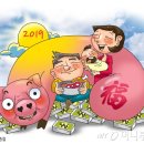 지금,돼지 이미지