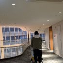 오라사우나 | 김해 롯데호텔앤리조트 / 호텔 스위트 A형 더블온돌 사우나 조식 내돈내산 후기