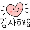 오일리브 이미지