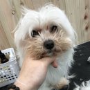 프렌드샾 이미지